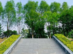 -渭河城市绿地运动公园