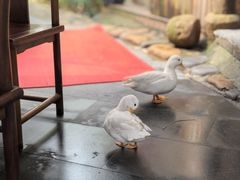-小小饭店·休闲农庄·安吉松树林里的农家菜