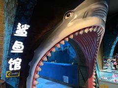 -合肥海洋世界