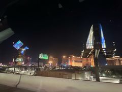 -拉斯维加斯永利酒店