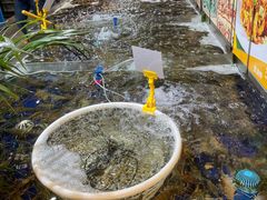 -79号渔船海鲜饭店(华强北店)