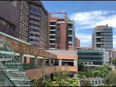 -香港大学