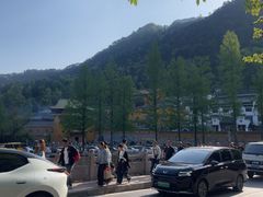 -九华山风景区