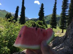 -新疆那拉提国家旅游度假区