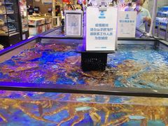 -盒马鲜生(大成店)