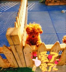 -萌宠亲子动物乐园(槐房万达店)