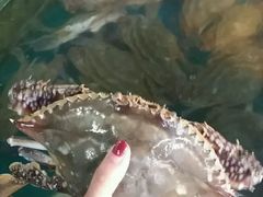 -天天渔港海鲜酒家(石浦玉泉路店)