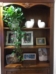 -格林童趣专业儿童摄影(公益西桥店)