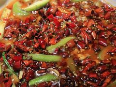 -雲蜀龙阁·金牌水煮鱼(方庄店)