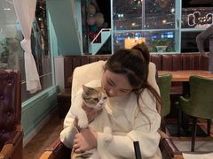 -猫小院猫主题餐厅(三里屯店)