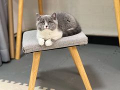 -中农大我爱我爱动物医院·核磁CT·猫病·24小时夜诊中心(石佛营店)