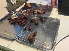 -老鬼兔头