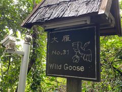 -三亚亚龙湾人间天堂鸟巢度假村