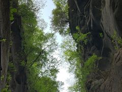 -黑河国家森林公园