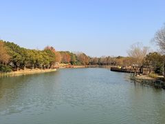 -自然谷恐龙园