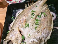 葱香烤鱼-西北45°(世茂广场店)