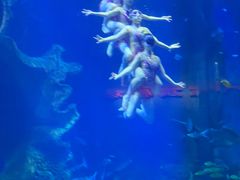 -多彩贵州城极地海洋世界