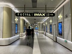-英皇电影城(平安金融中心IMAX激光店)