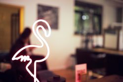 -HAIR PORN STUDIO
