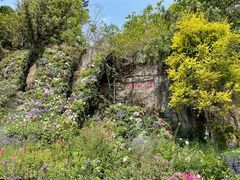 -深圳仙湖植物园