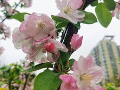 -元大都城垣遗址公园