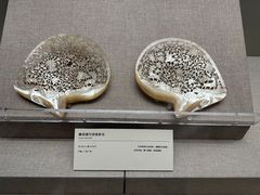 -清华大学艺术博物馆