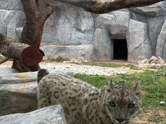 -青藏高原野生动物园