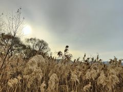 -棋盘山风景区