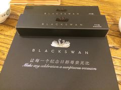 -BLACKSWAN黑天鹅(环球店)