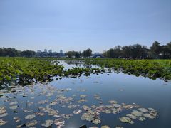 -长春市南湖公园