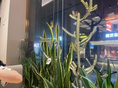 -隅乐胡椒虾·台湾菜·团建(皇岗店)