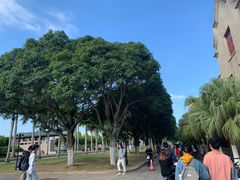 -厦门大学(思明校区)
