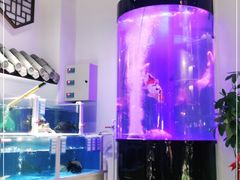 -金汤宴餐厅·粤菜(德云社店)