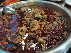 -重庆鱼美佳火锅(四川师大店)