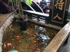 -弘医堂医院-中医科