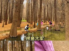 -捞渔河湿地公园