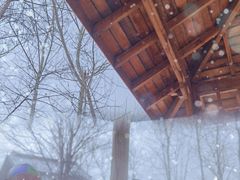 -陆地游轮吉林神农温泉