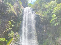 -马峦山郊野公园