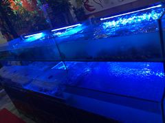 -特色酱椒鱼私房菜(黄鹤楼店)