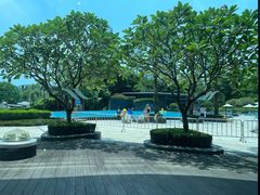 -蛇口希尔顿南海酒店·随轩中餐厅·粤菜