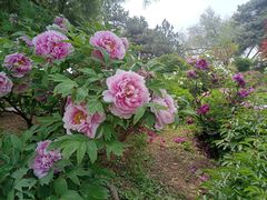 -国家植物园南园