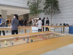 -Apple零售店(济南恒隆广场店)