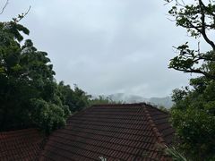 -雁南飞茶田景区