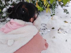 -常营天街长楹美食(常营民族家园B区店)