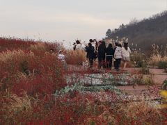 -四明山国家森林公园