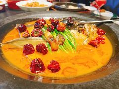 -秀儿四九城·新京菜(亚运村鸟巢店)