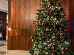 -香港尖沙咀凯悦酒店