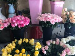 -沪花拾者(好再来花卉鲜花店)