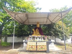 -上海佘山国家森林公园天马山园