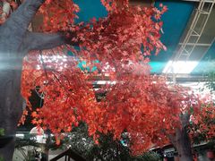 -漕河全驴宴饭店(徐水店)